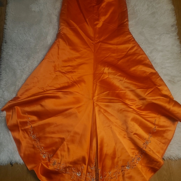 Vintage prom dress - Picture 5 of 5